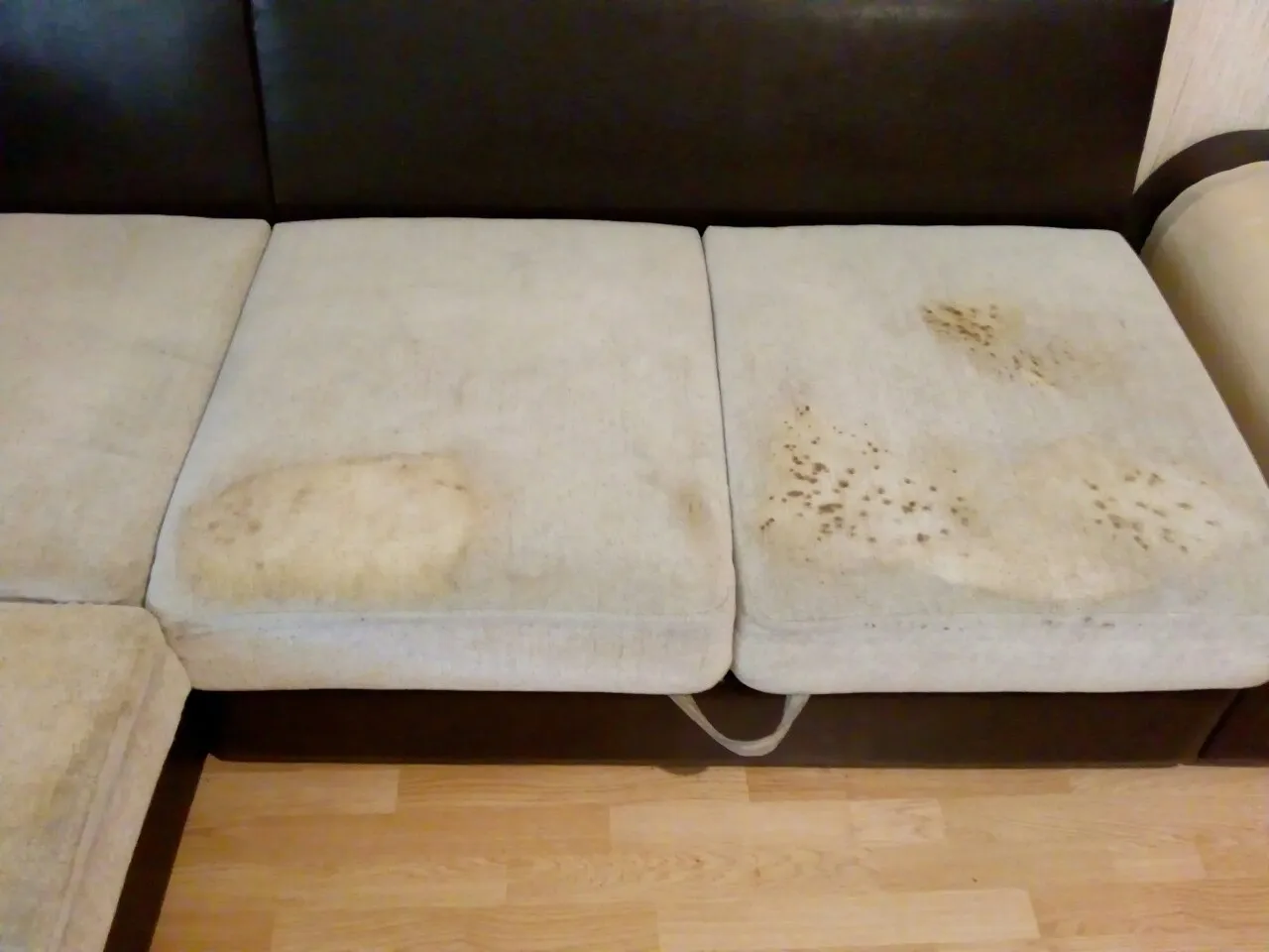 Schlafsofa in Lünen vor der schonenden Reinigung — sichtbare Flecken