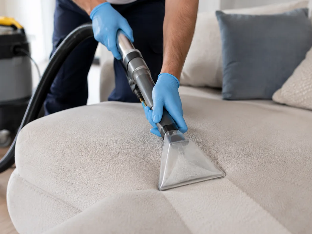Pflanzliche Reinigungsmittel aus nachwachsenden Rohstoffen — pflanzliche Tenside in Glasflaschen, Pflanzen und Etiketten mit Inhaltsangabe